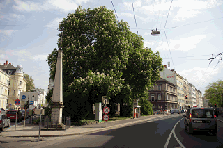 stadtwasser 2011, gutauer herbert